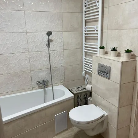 Vizparti Olle